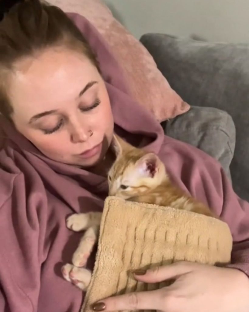 girl holding a yellow kitten in her arms