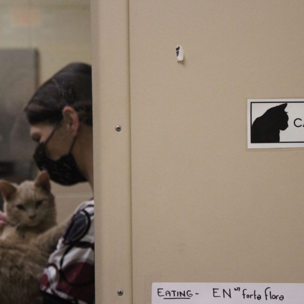 girl with a mask holding a cat in her arms