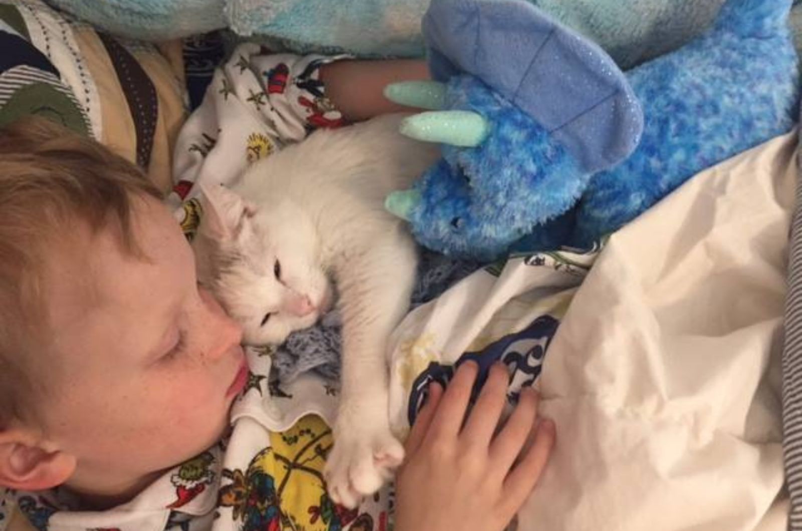 kid sleeping with cat