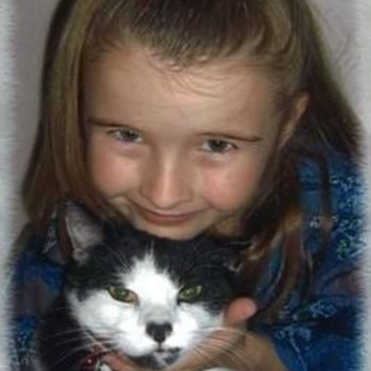 little girl holding a cat