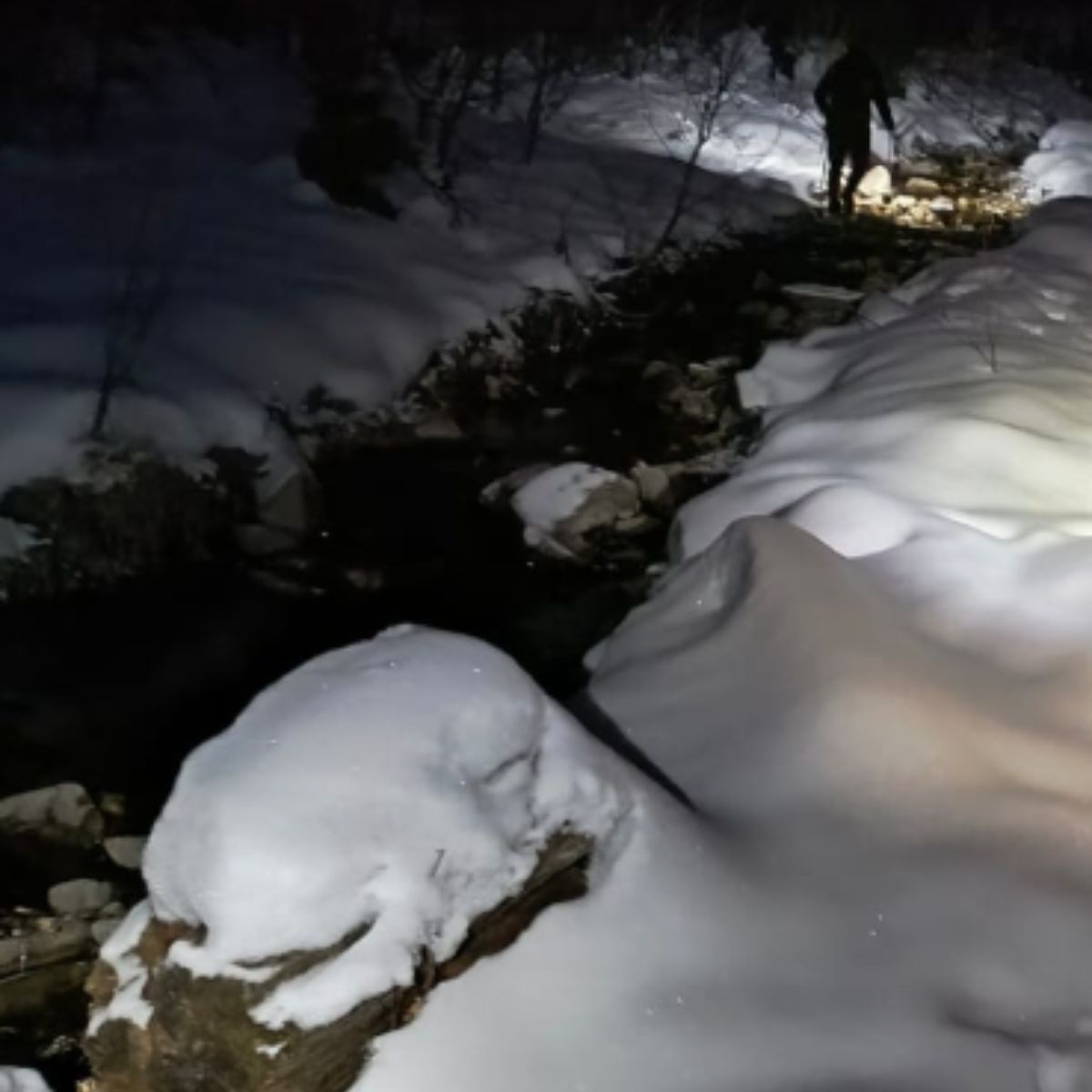 path covered in snow