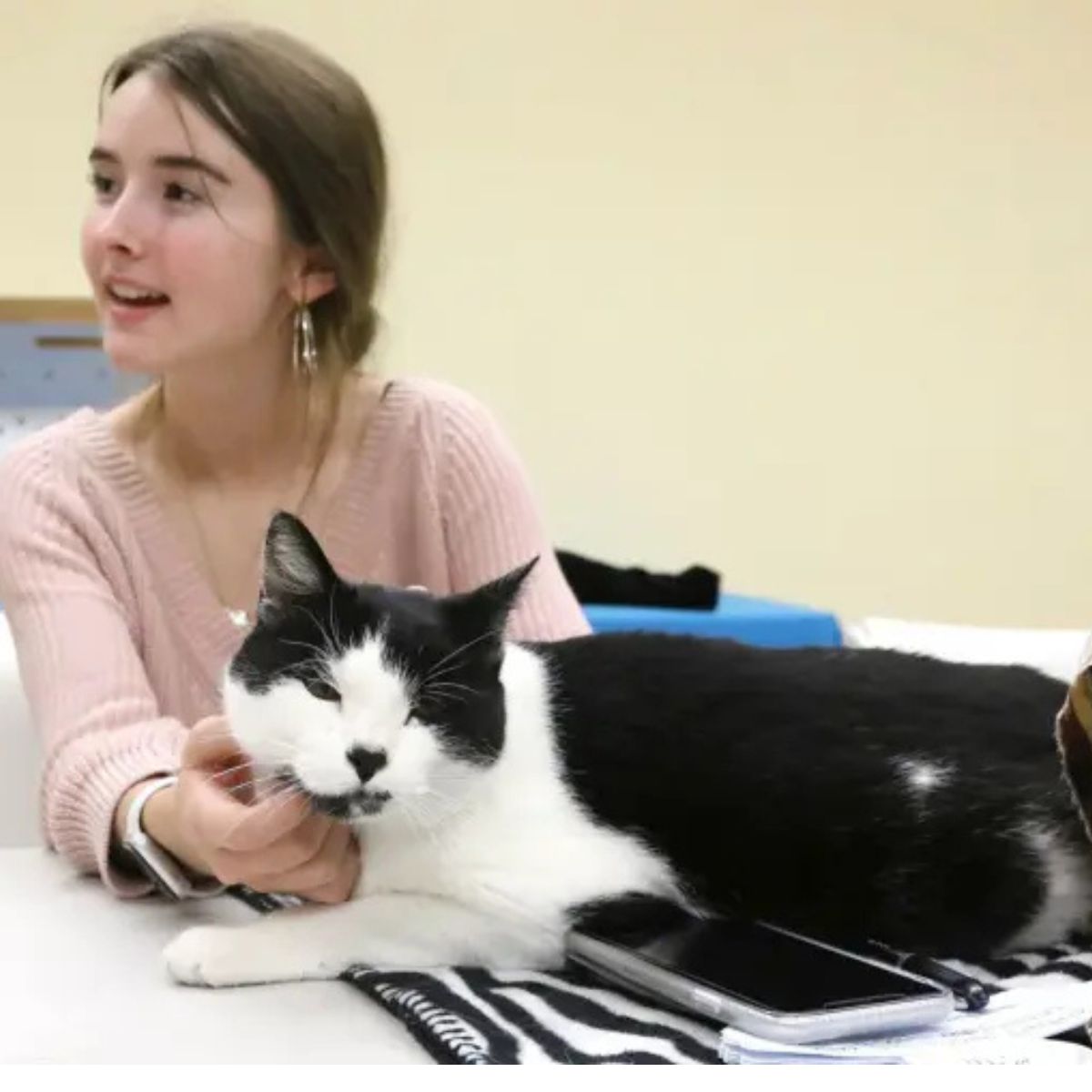 photo of a girl and a cat