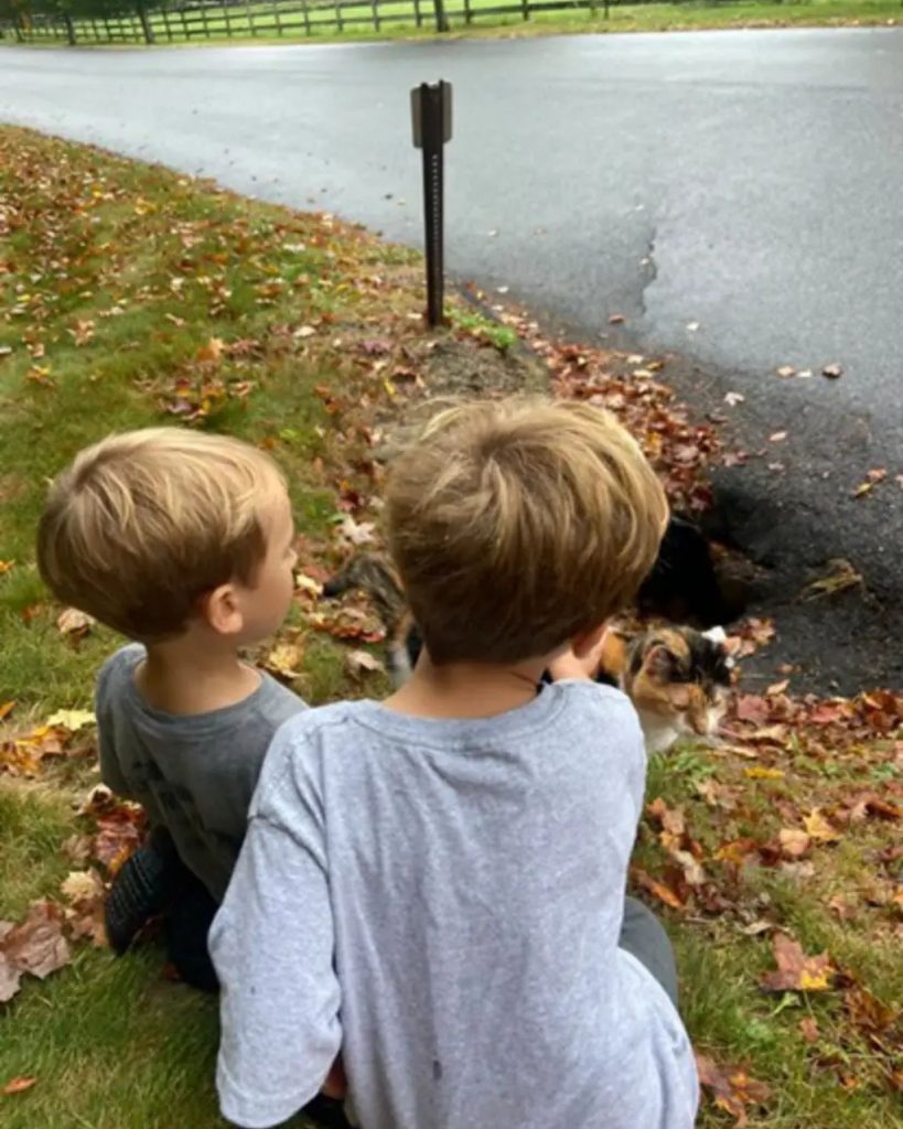 two boys with a cat