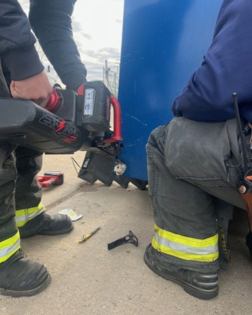 two men rescue a cat