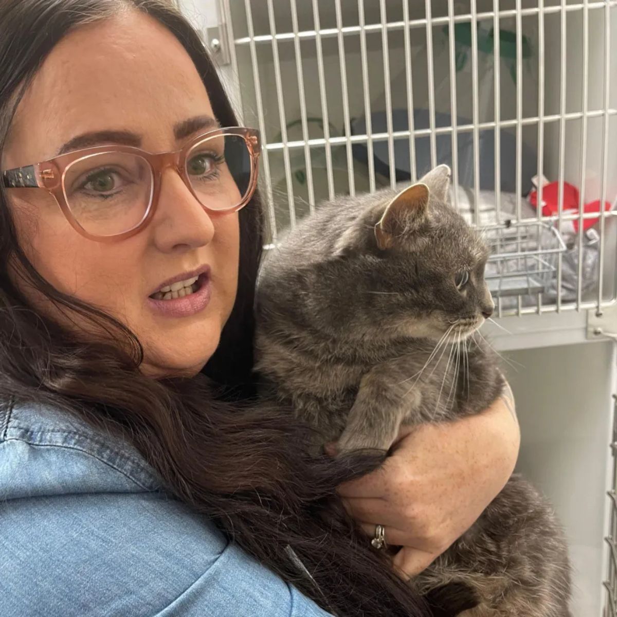 woman holding a gray cat