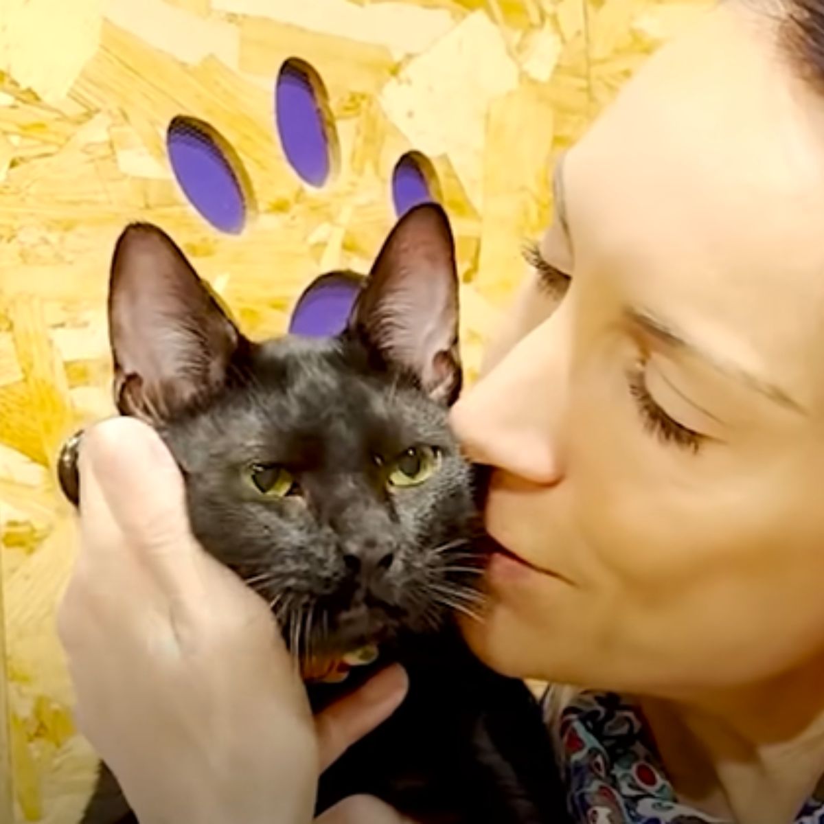 woman kissing a black cat