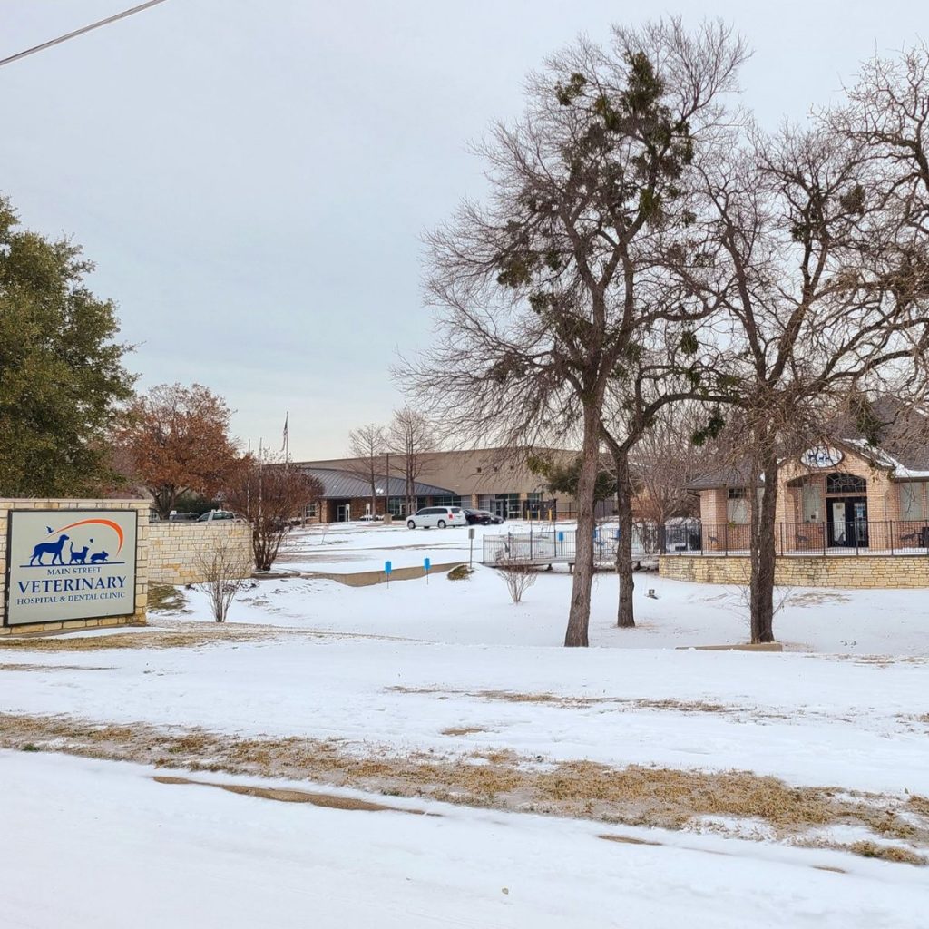 yard in front of the veterinary station