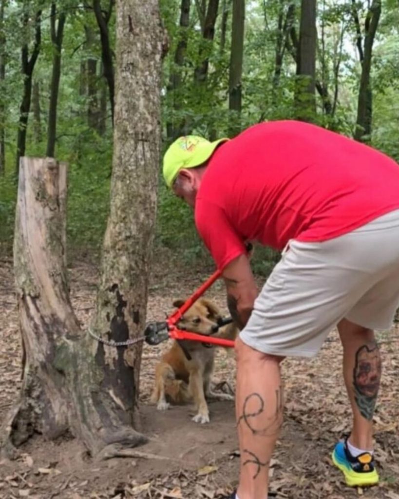 man untying a dog from a tree