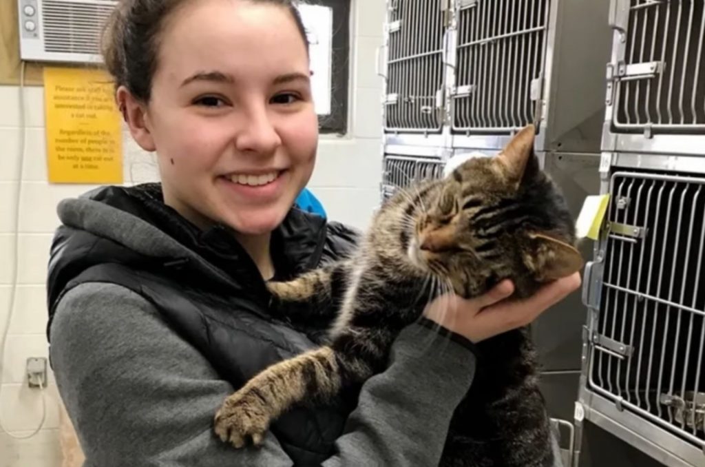 young woman holding a cat