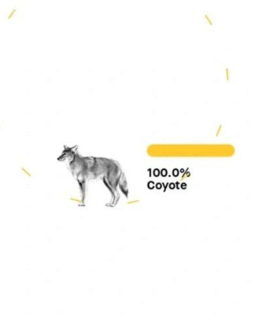 coyote dna test 