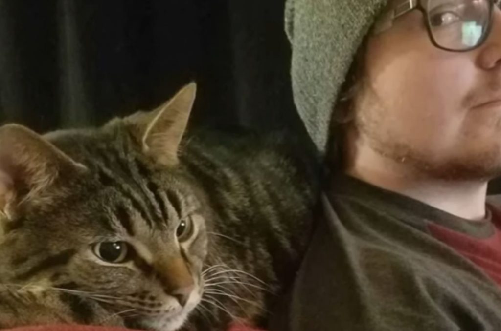 cat sitting behind a young man