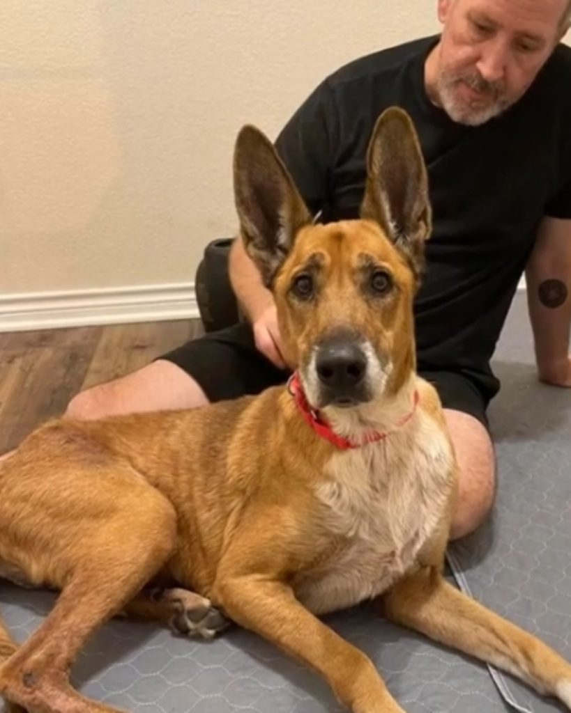 dog and a man sitting on a floor