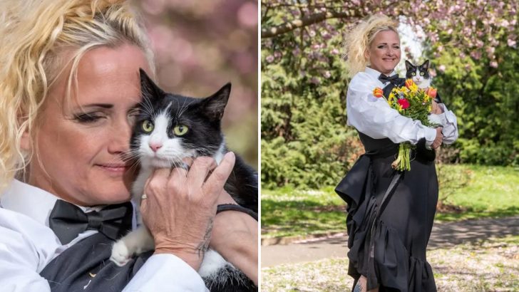 Determined Woman Marries Her Cat To Stop Landlords From Splitting Them Up