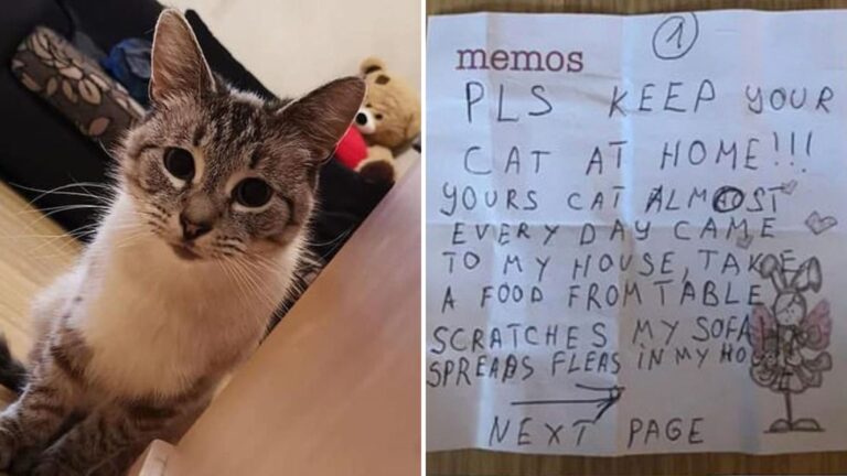 Family Cat Returns Home With An Odd Note In A Plastic Bag Taped To His Collar