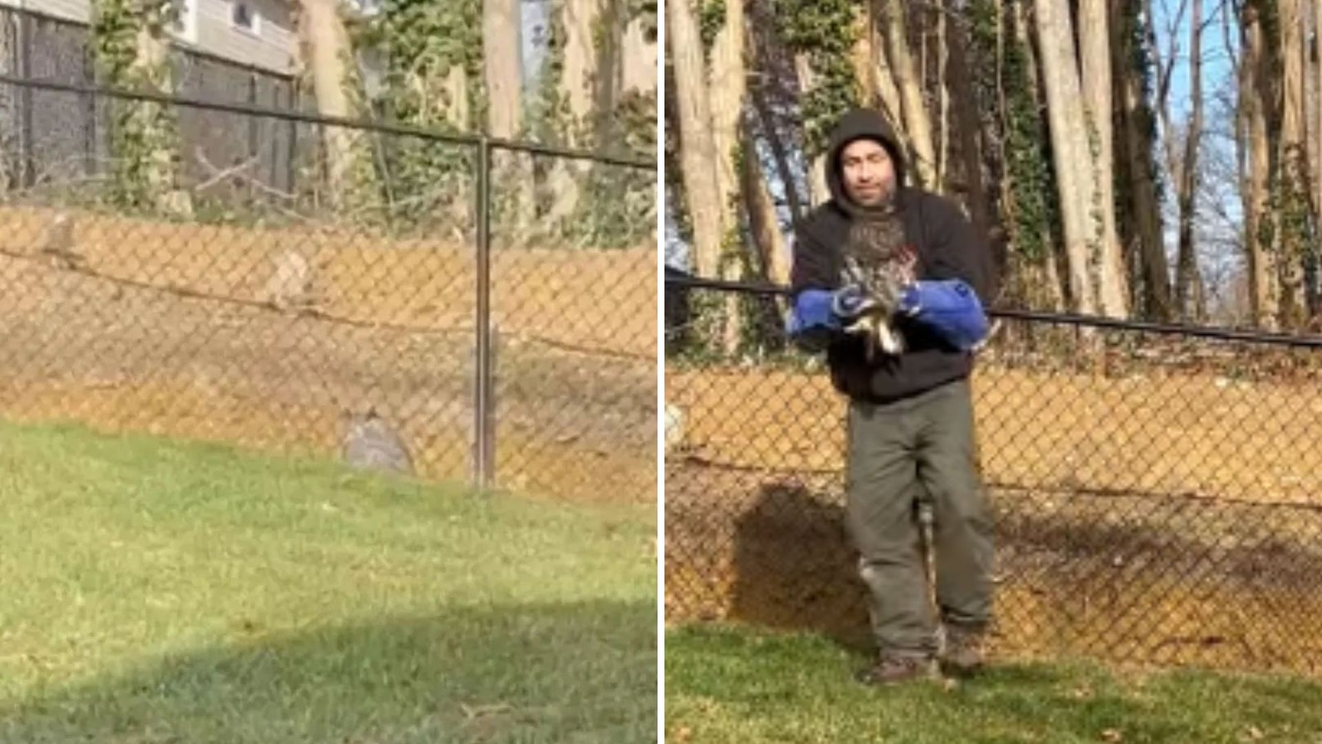 man standing near fence