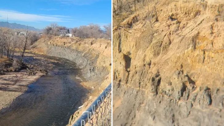 Man Notices A Strange Spot On The Edge Of A Cliff In Colorado, Then Realizes It’s Alive