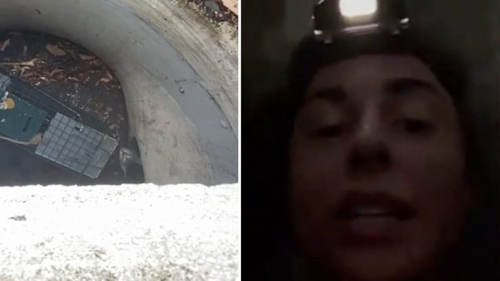 Woman Crawls 300 Feet Into A Disgusting Sewer In Florida To Save A Crying Kitten Stuck Inside