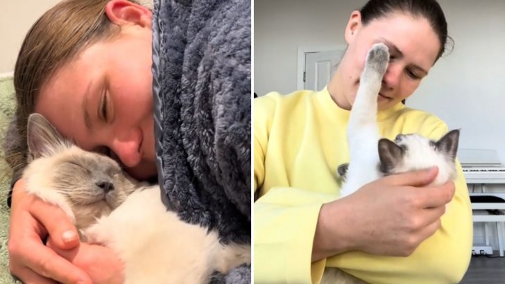 Woman Pets Her Ragdoll Cat, And What Happens Next Will Take Your Breath Away