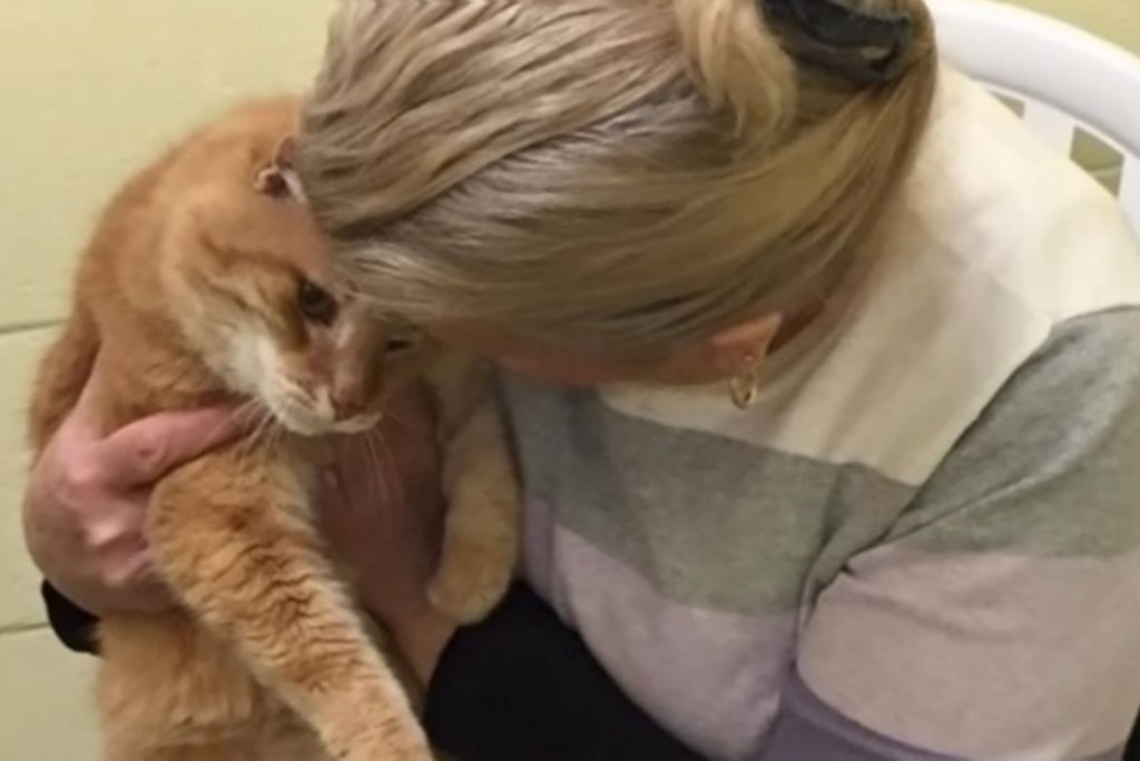 a woman hugging an orange cat