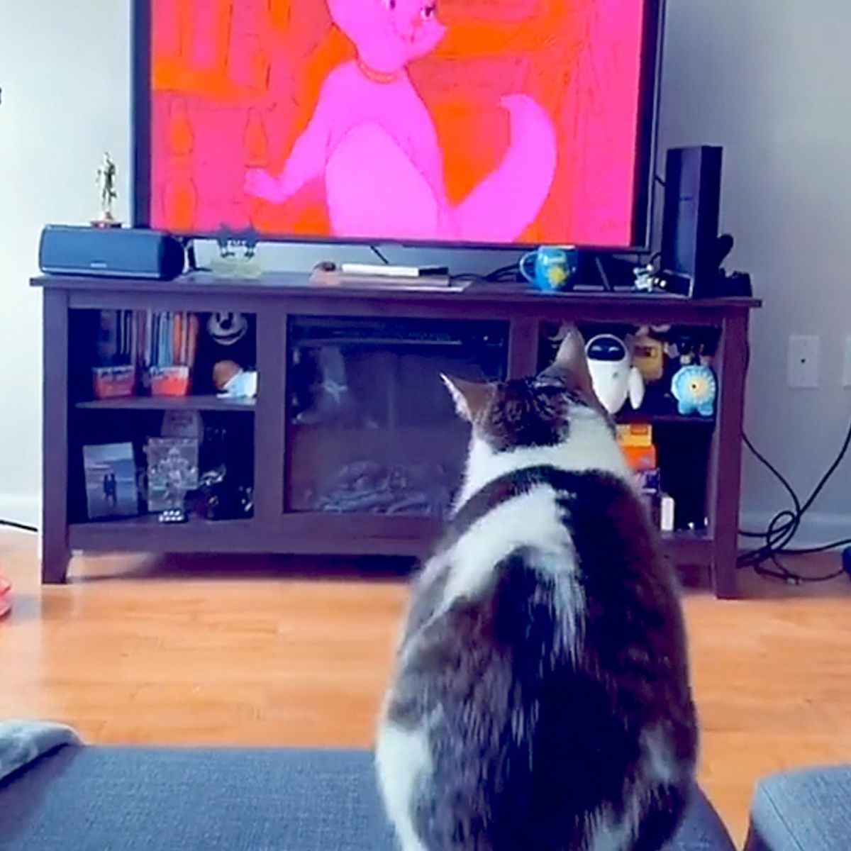 cat watching cartoon