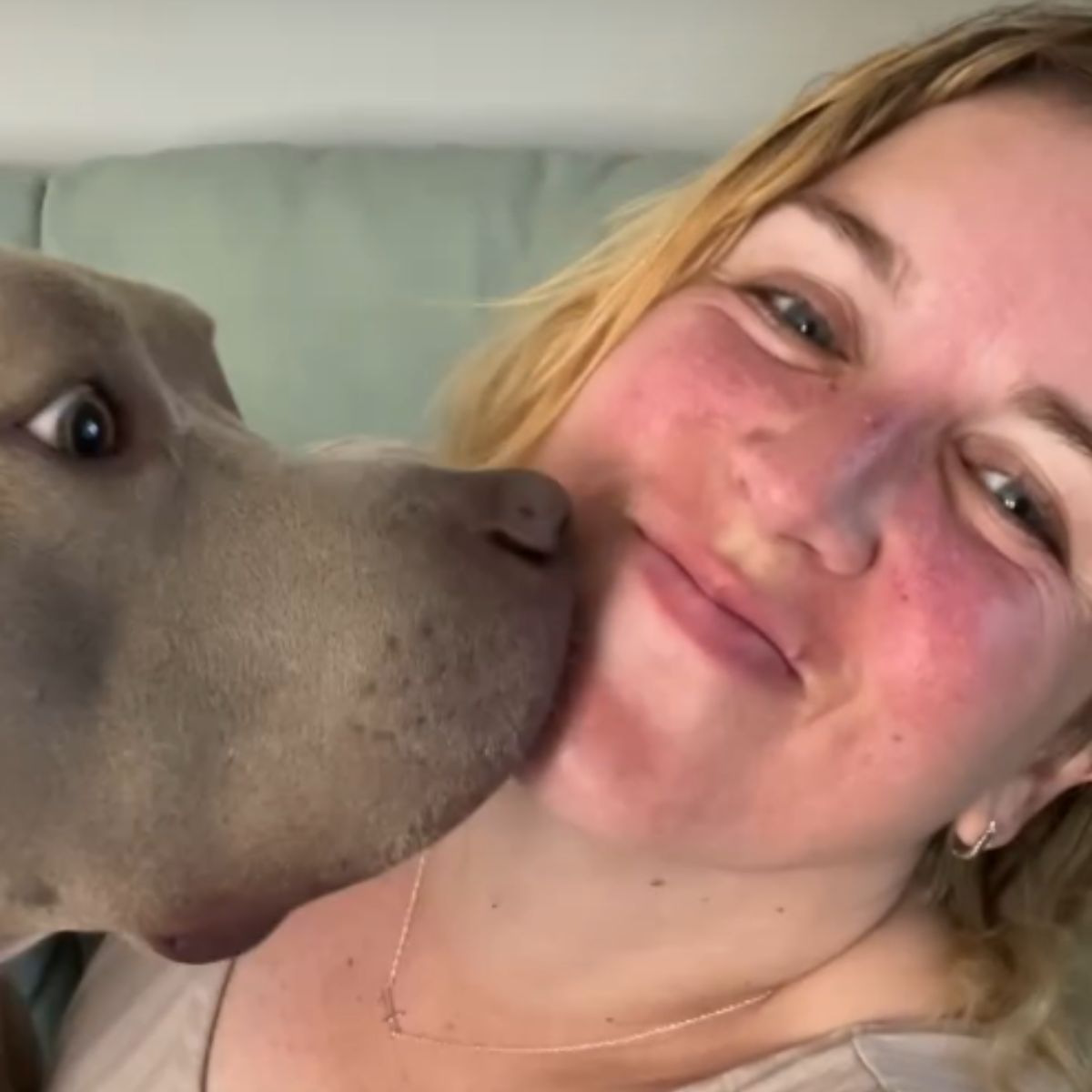 dog kissing an owner