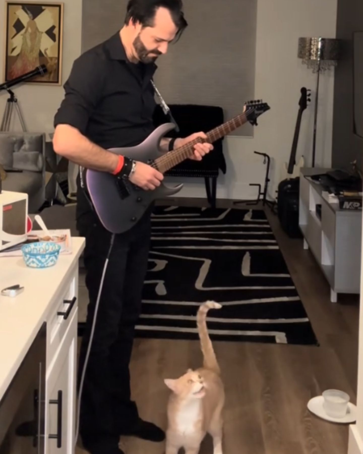 man playing guitar and cat singing