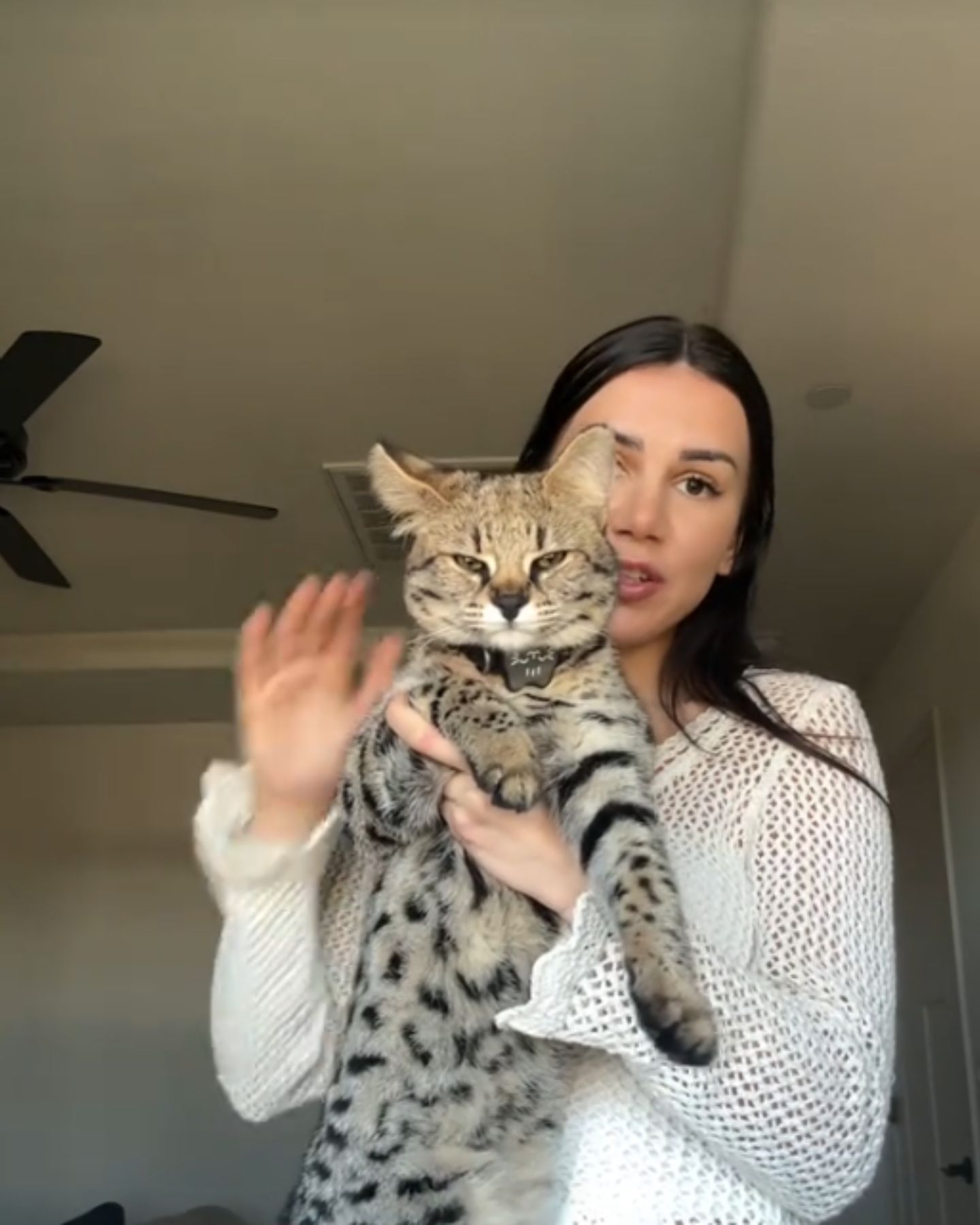 owner and savannah cat