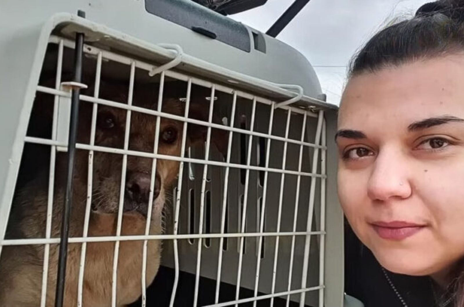 woman and dog in crate