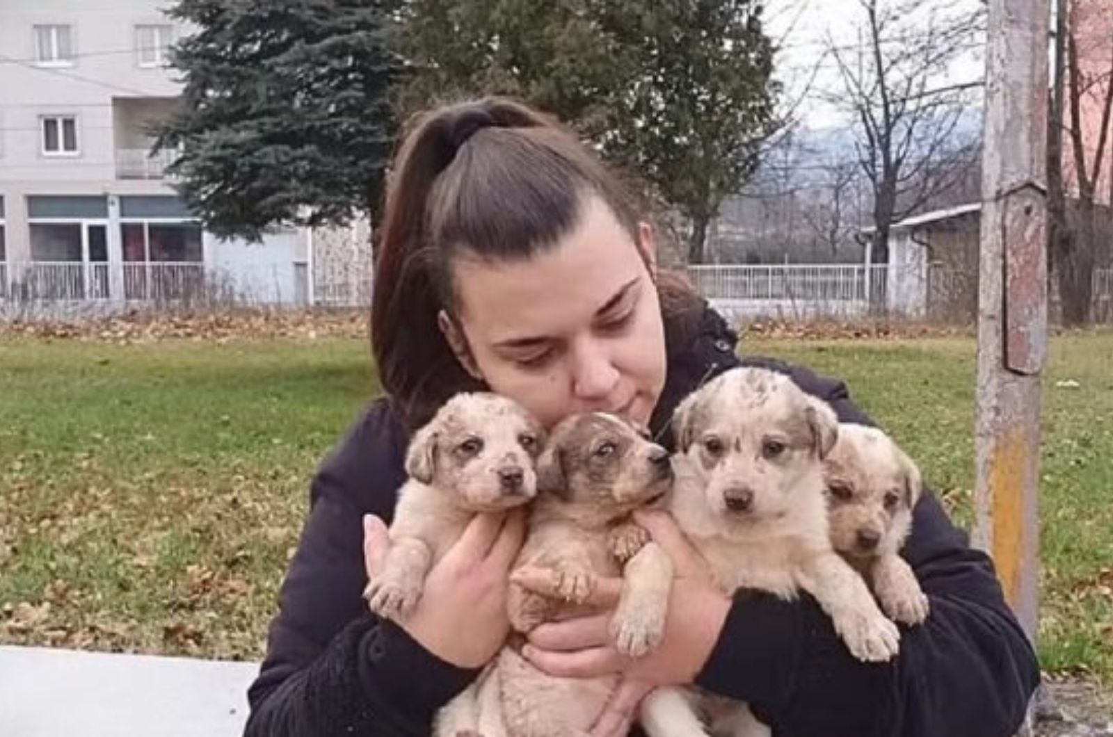 woman and four puppies