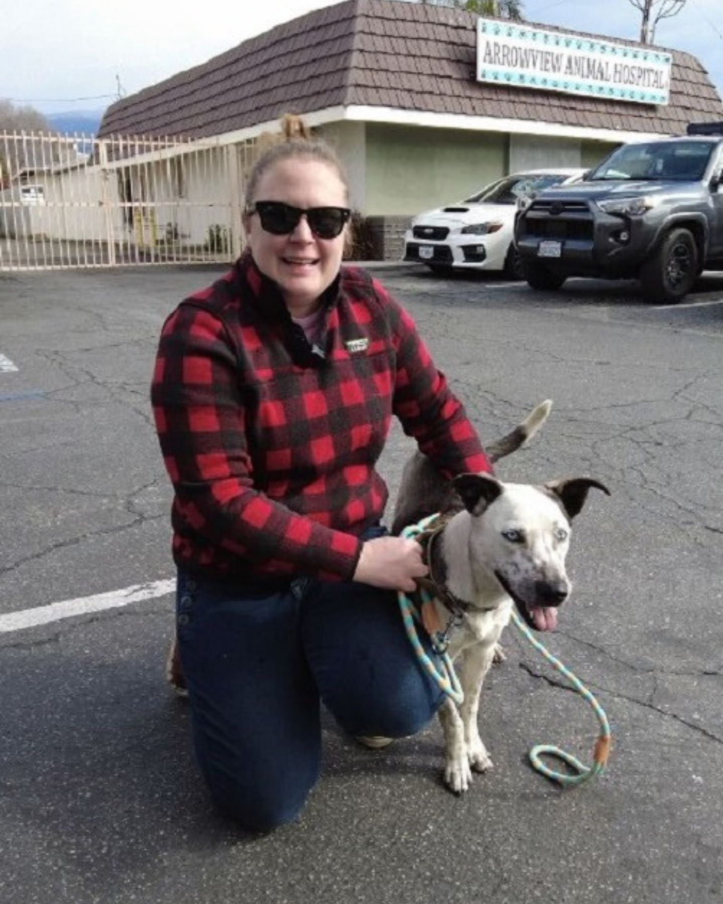 woman and white dog