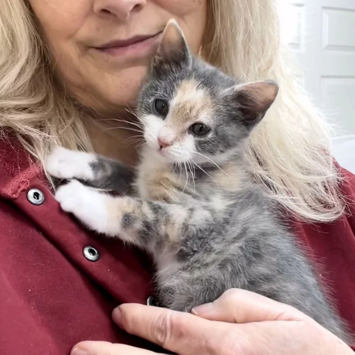 woman holding a beautiful kitten