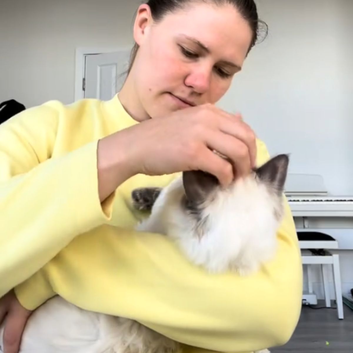 woman holding a beautiful ragdoll cat