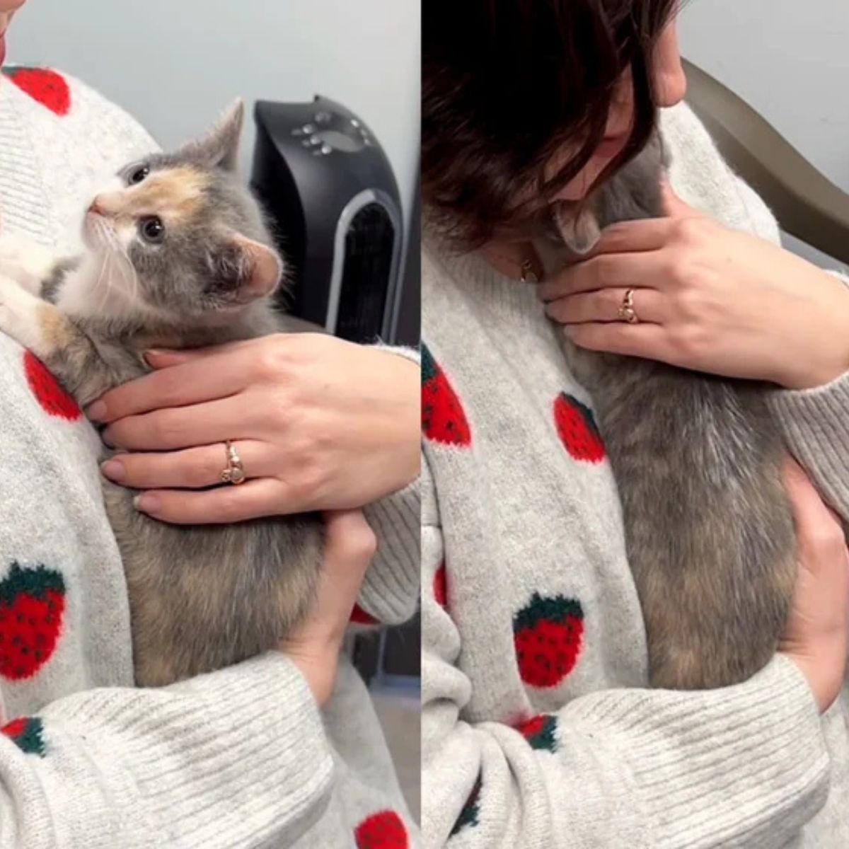 woman holding a calico cat