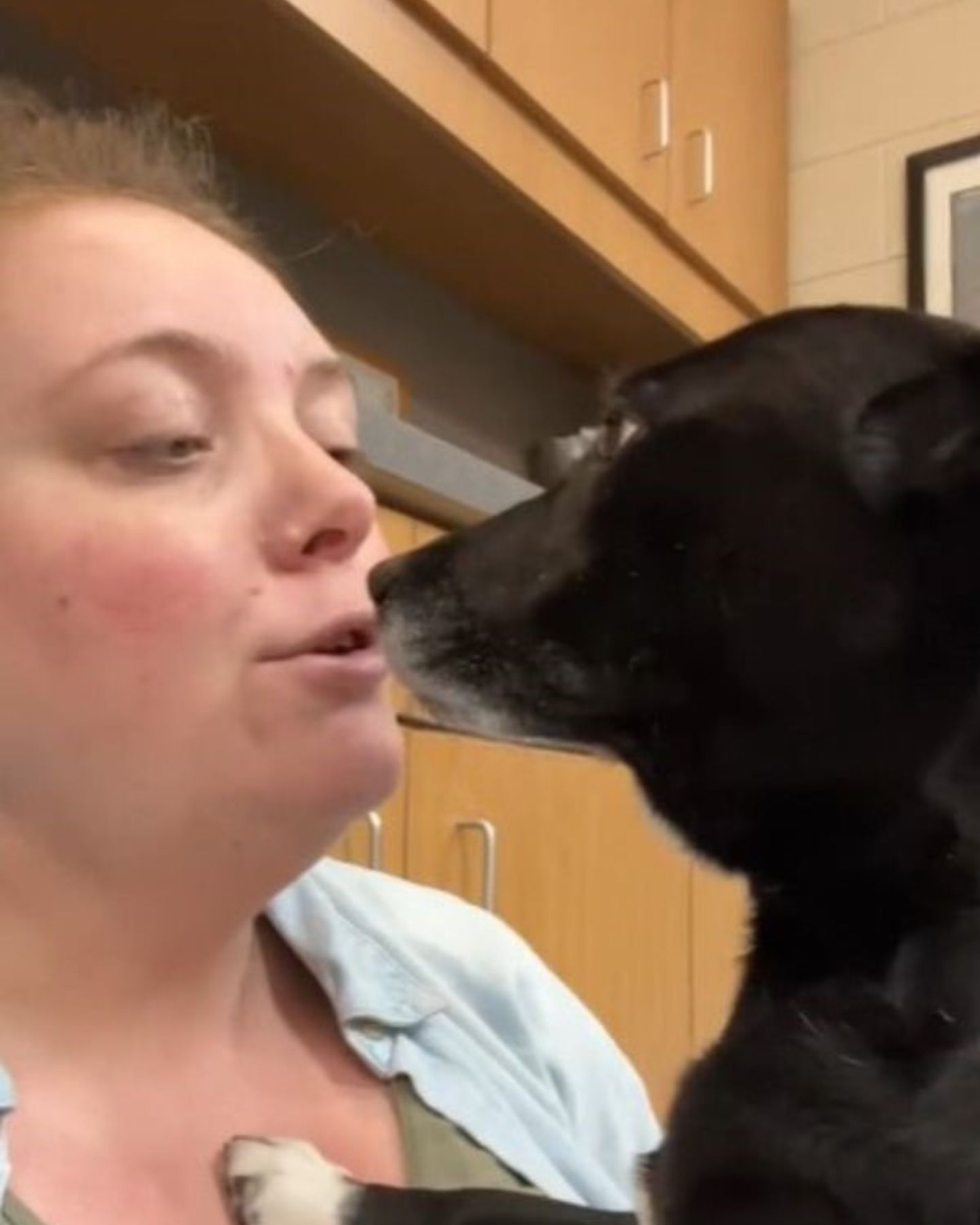 woman kissing a dog