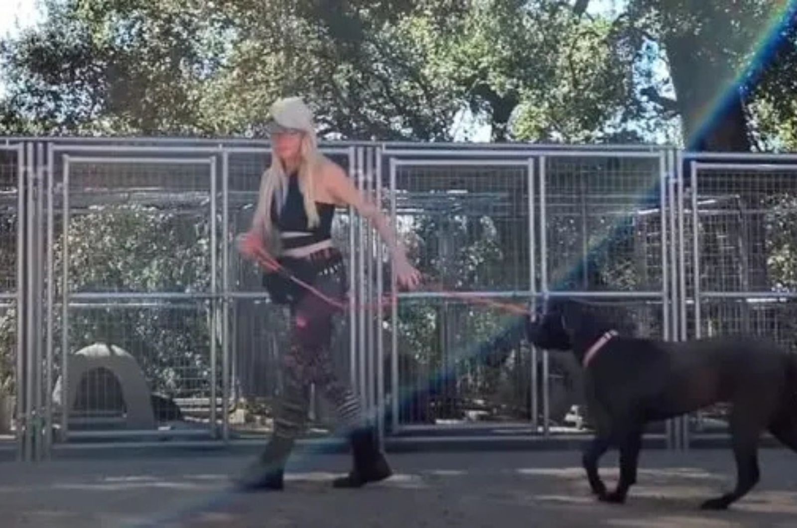 woman walking a black dog