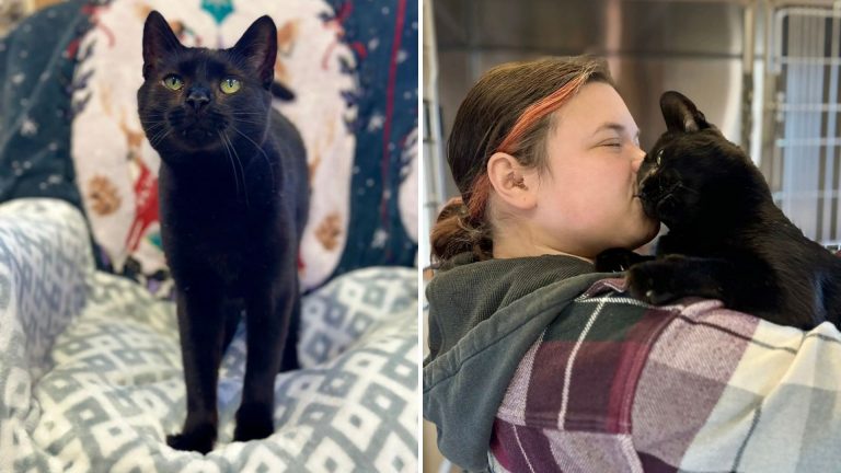 woman and black cat