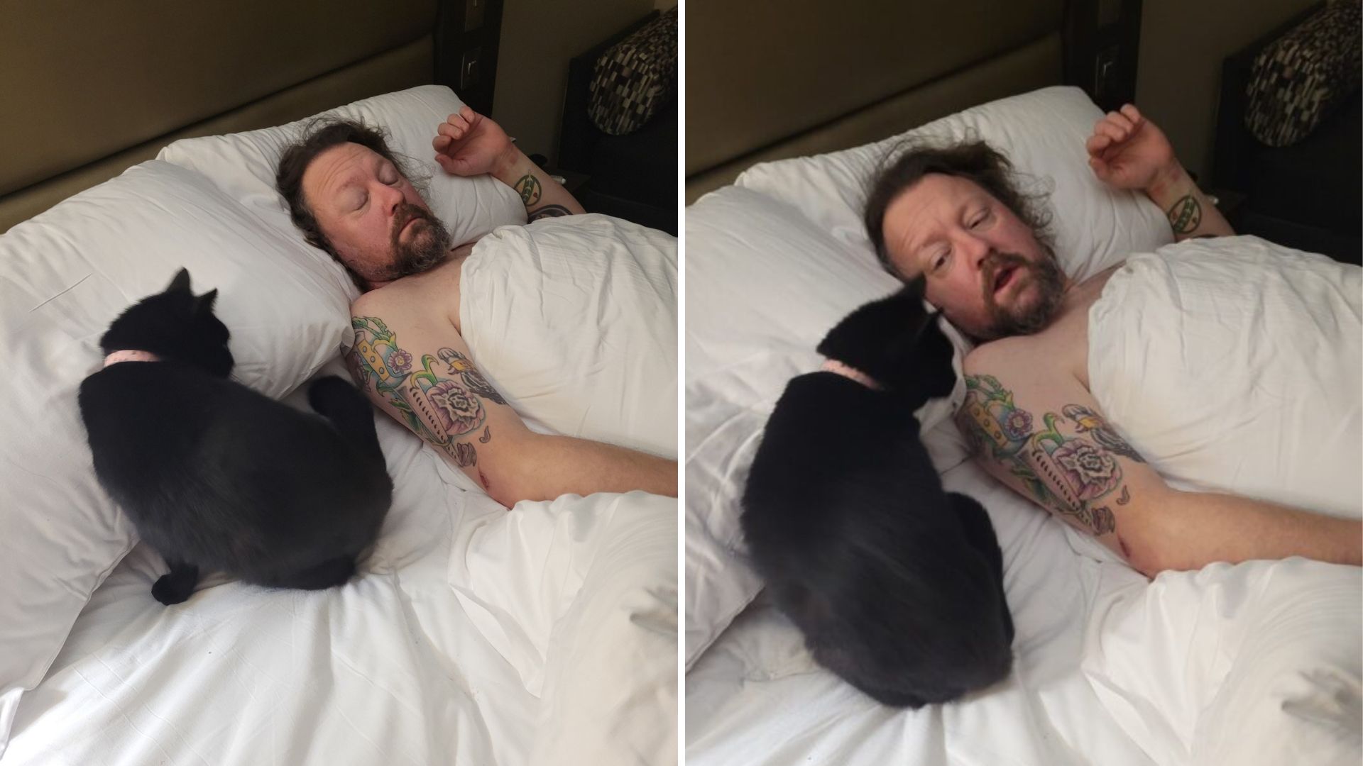 man and cat in hotel