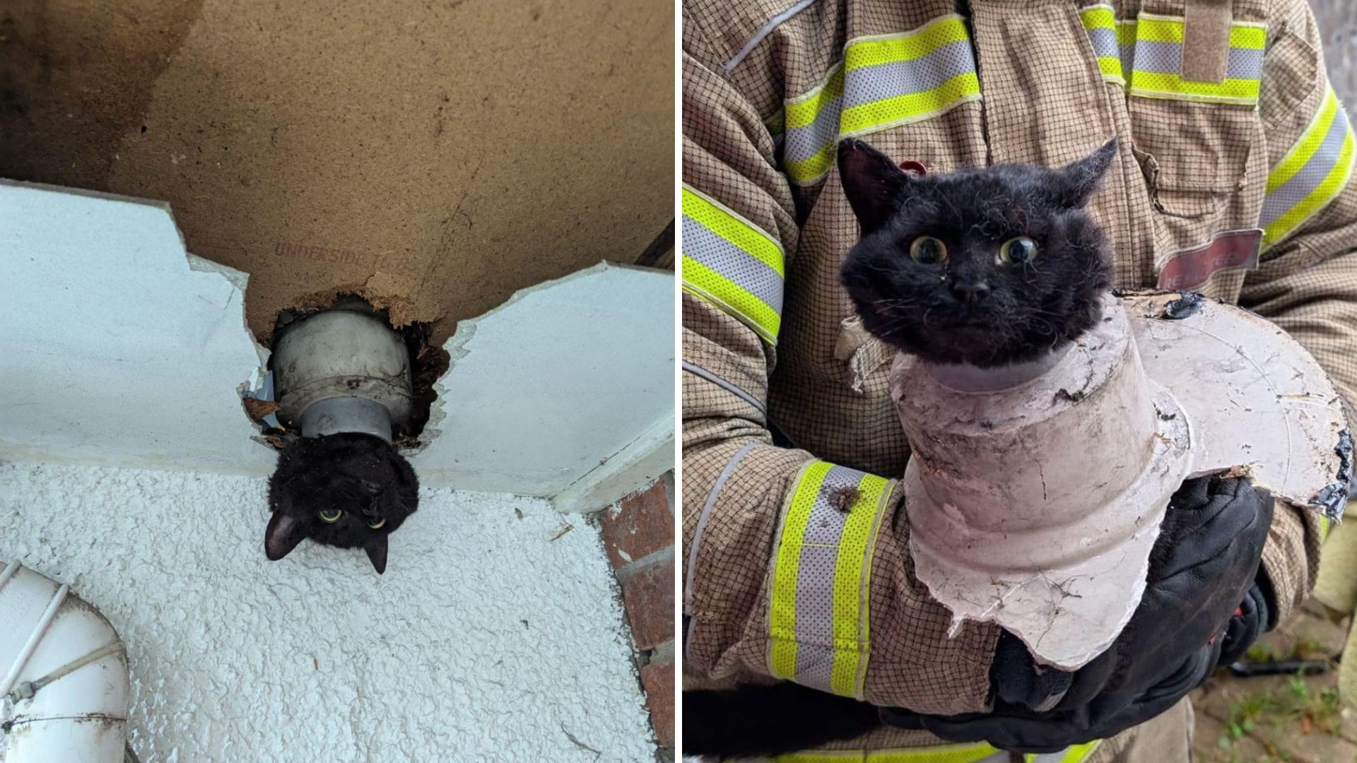 Woman’s World Shatters When She Spots Her Cat Trapped In A Drainpipe With Only Her Head Visible