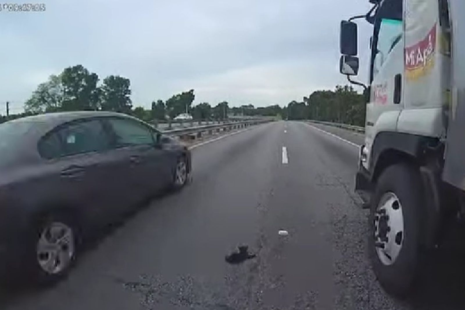 black kitten on a highway