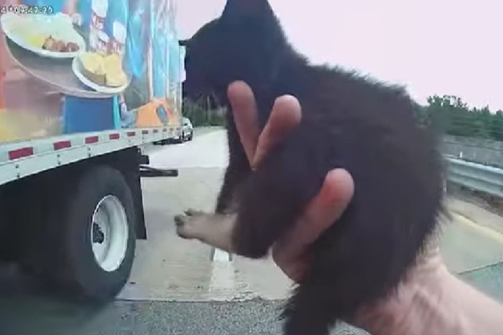 cop holding a kitten