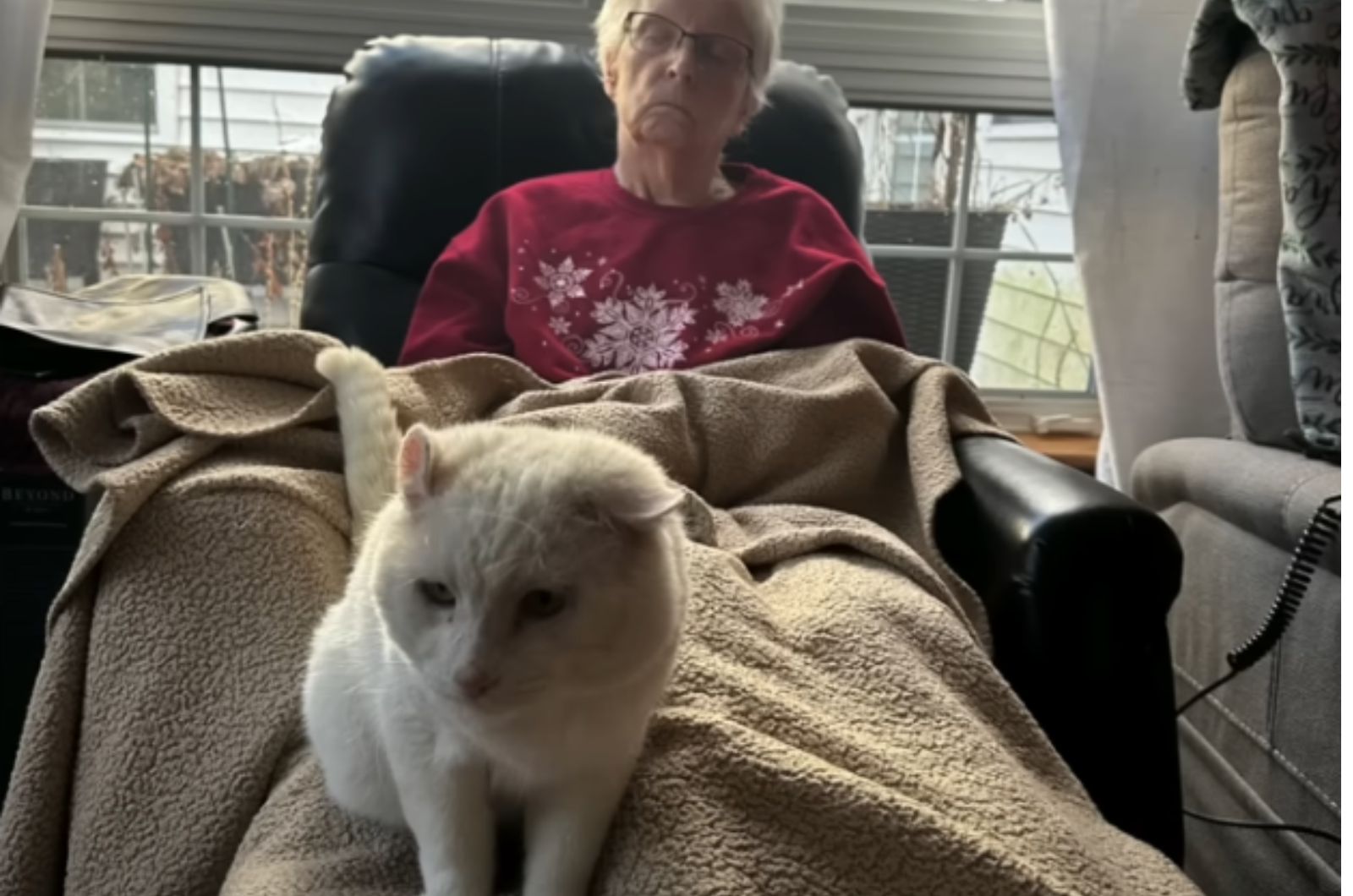 elder woman and cat