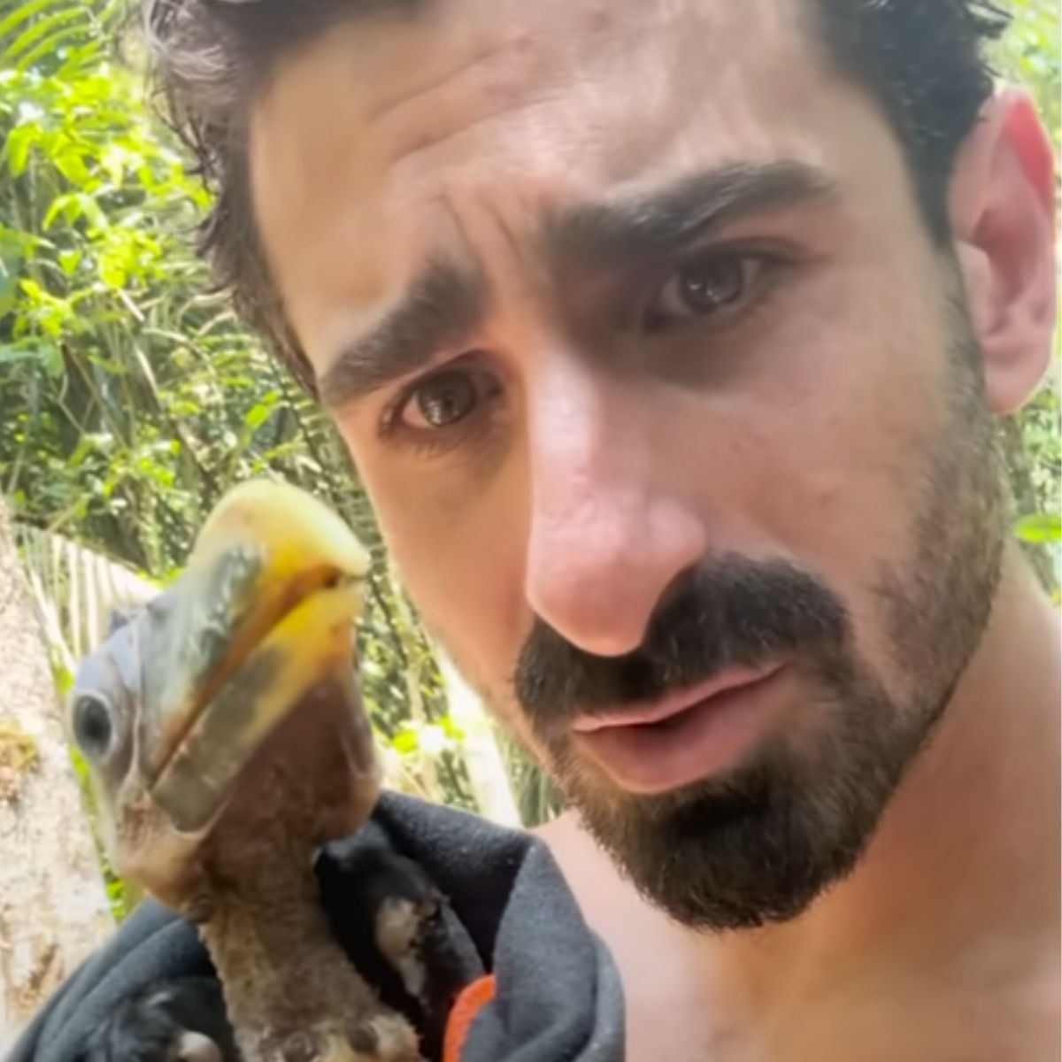 man and baby toucan