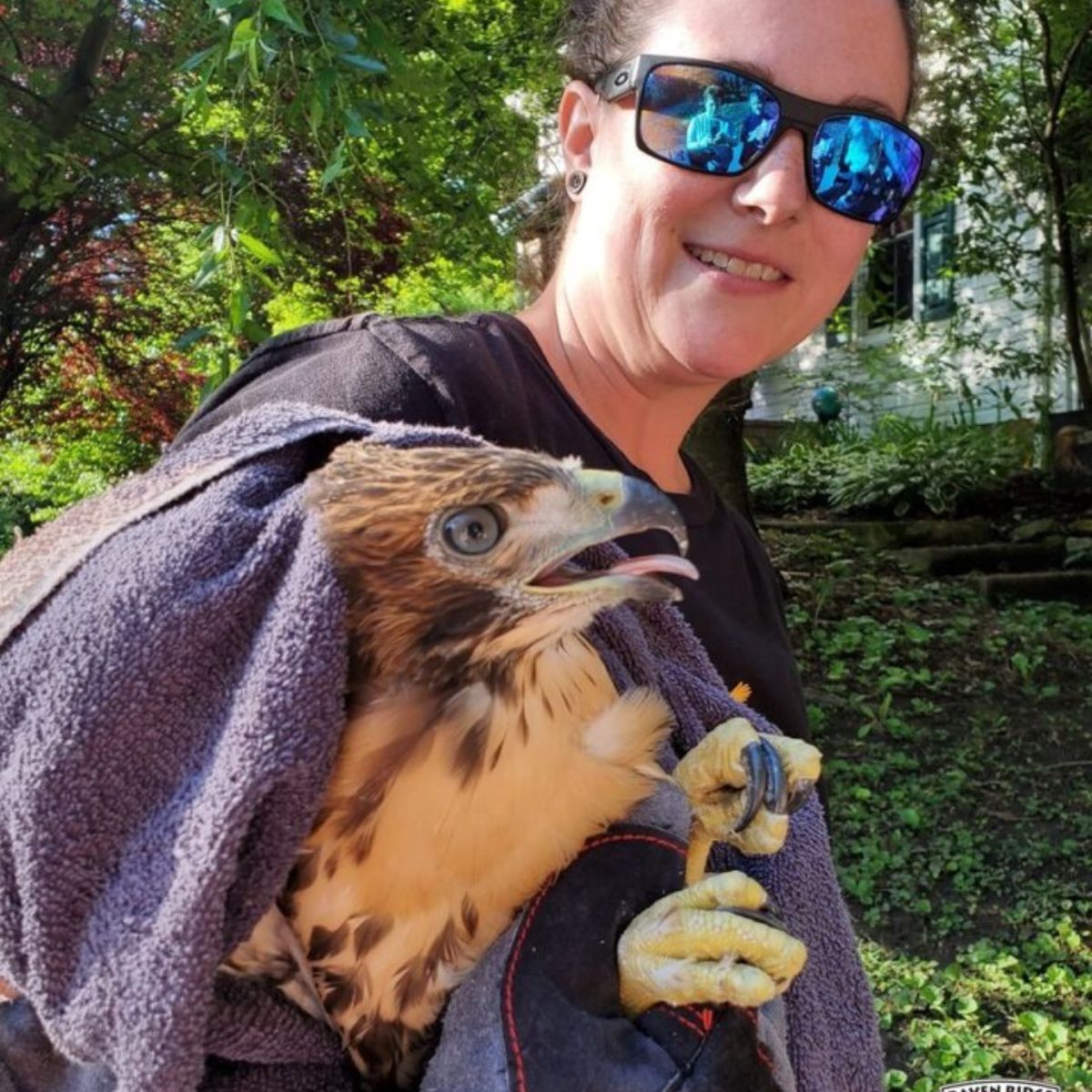 woman and hawk