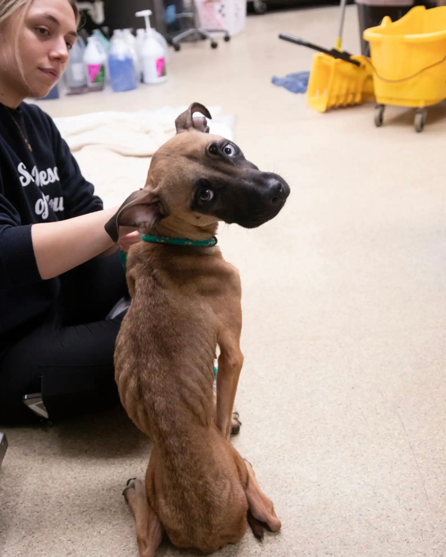 woman and skinny dog