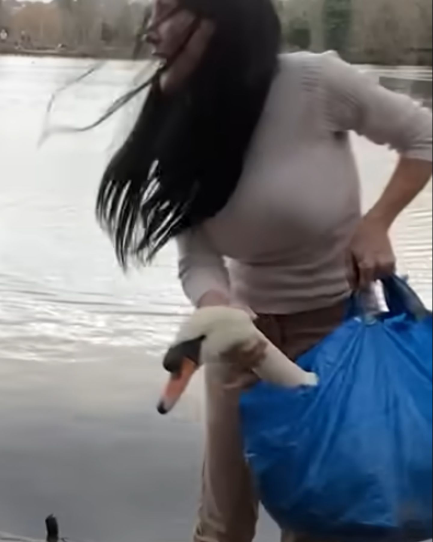 woman and swan in IKEA bag