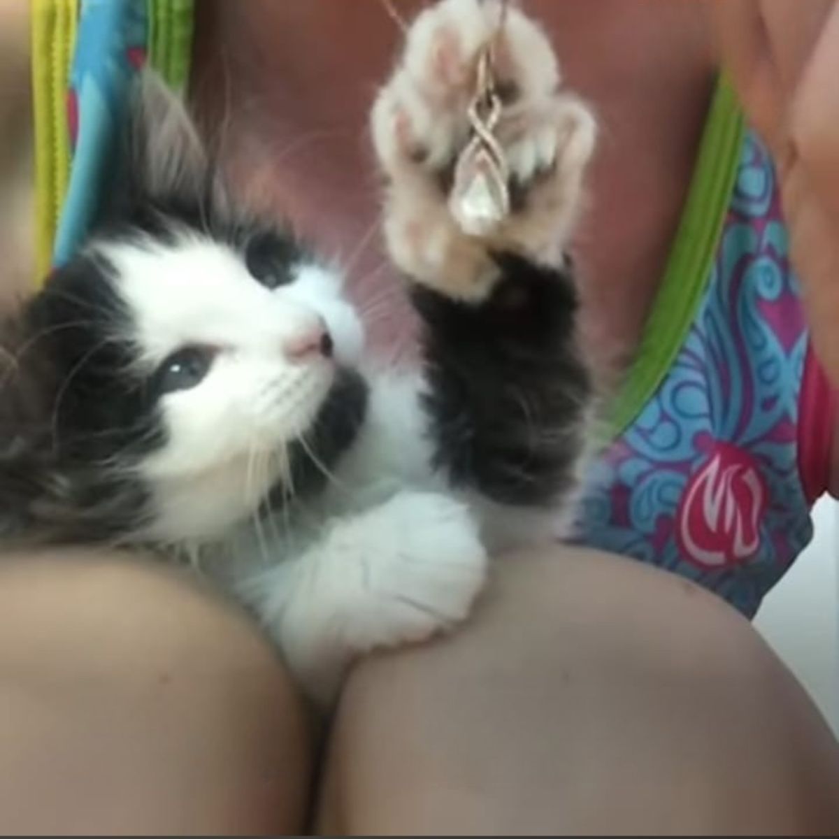 woman and sweet kitten