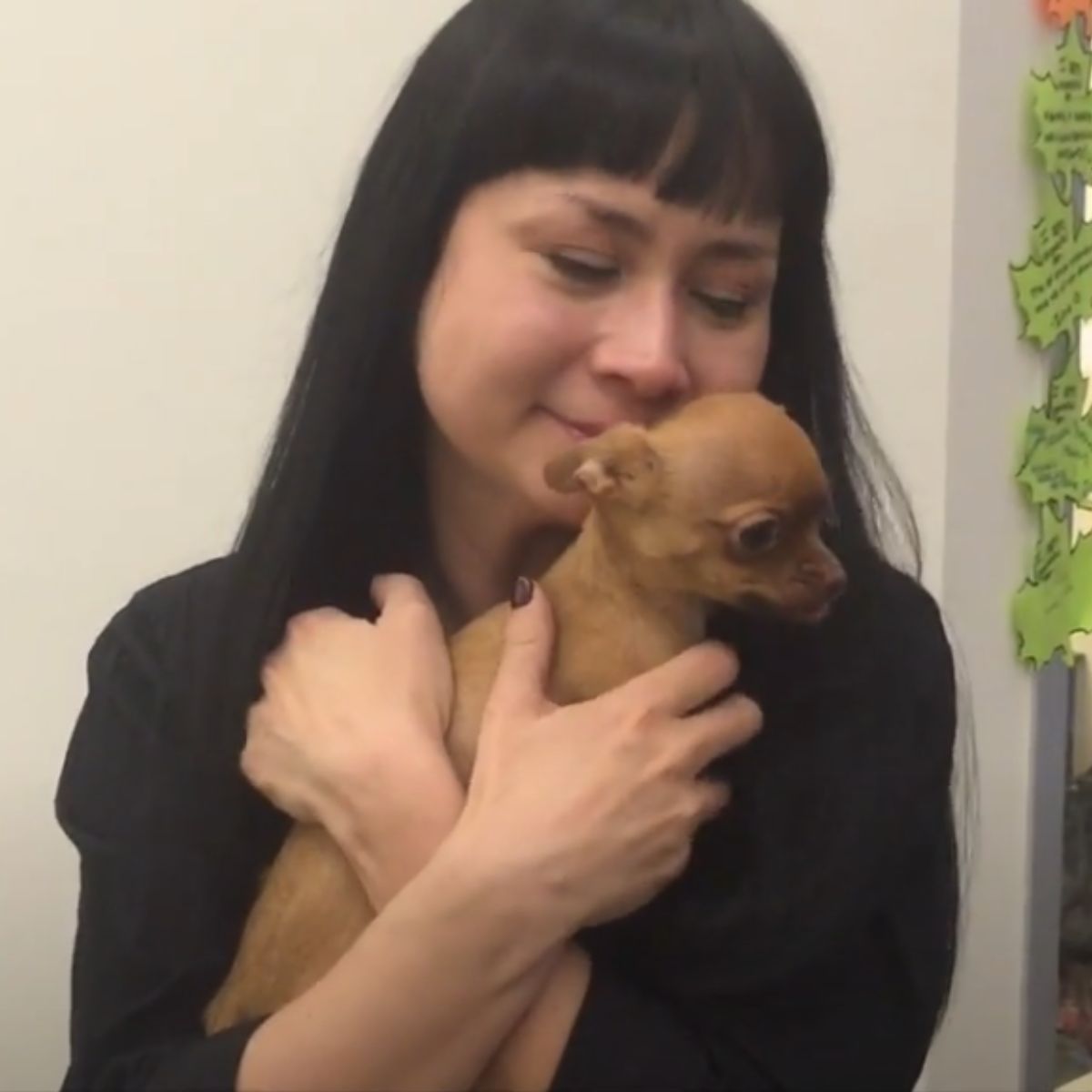 woman hugging a chihuahua