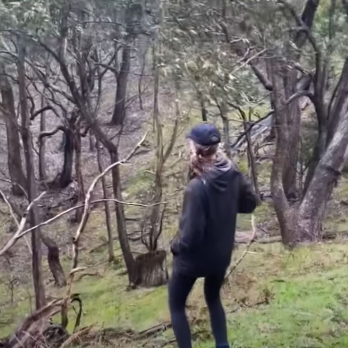 woman in forest