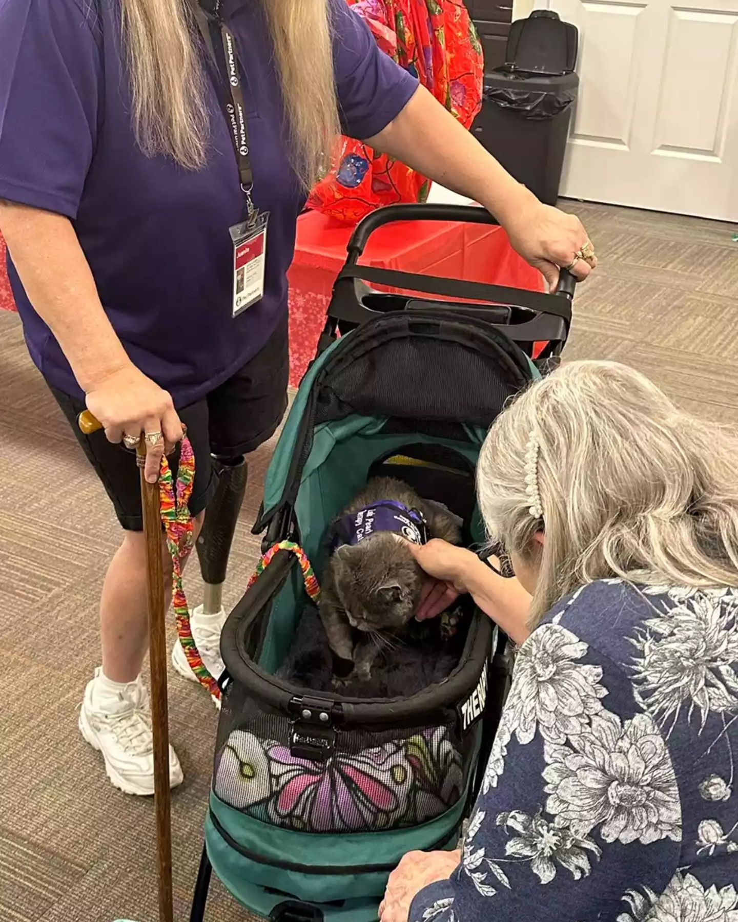 woman petting tiny cat