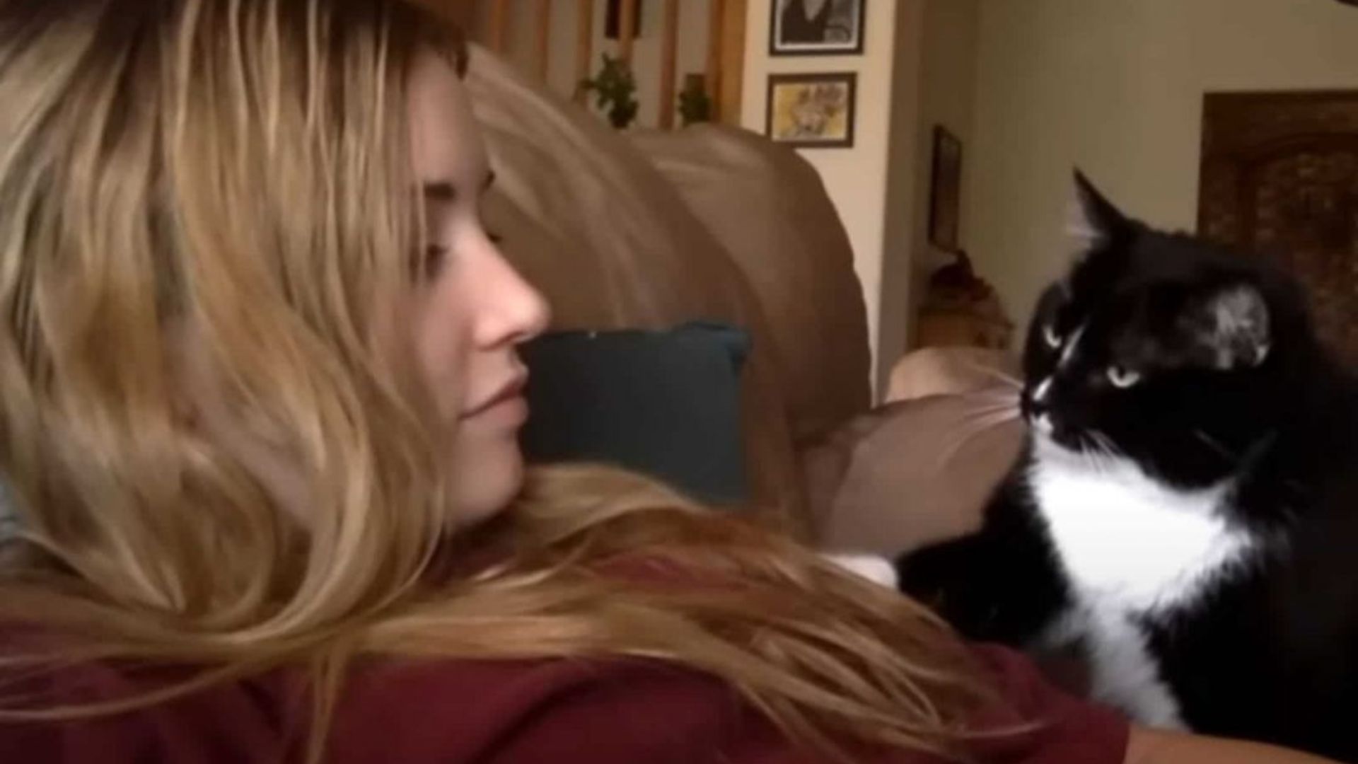 Georgia Cat Owner Shares The Sweetest Clip Of Her Tuxedo Politely Requesting Pets